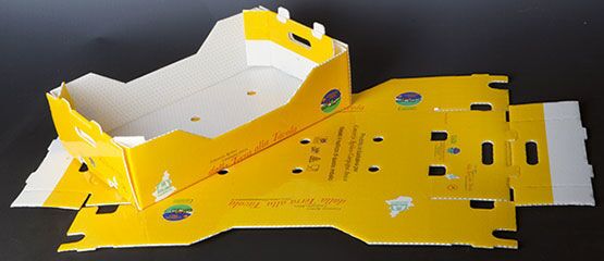 PP polypropylène creux en plastique Boîtes en carton ondulé